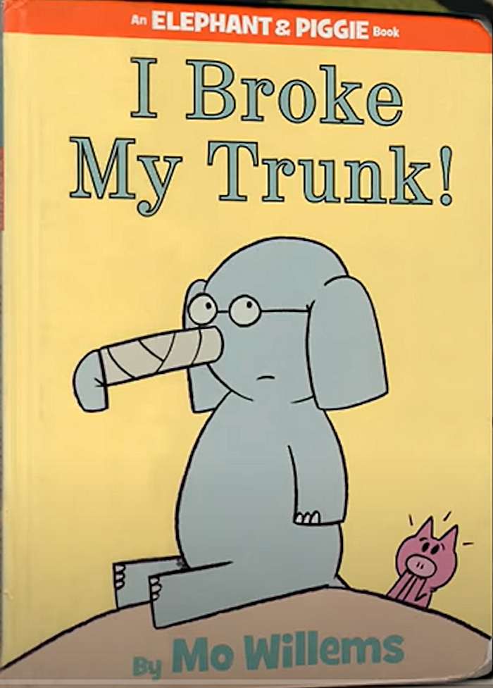 I Broke my Trunk