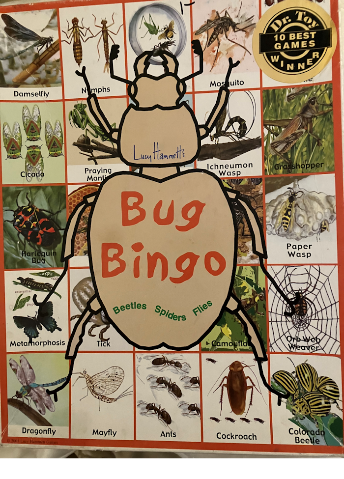 Bug Bingo