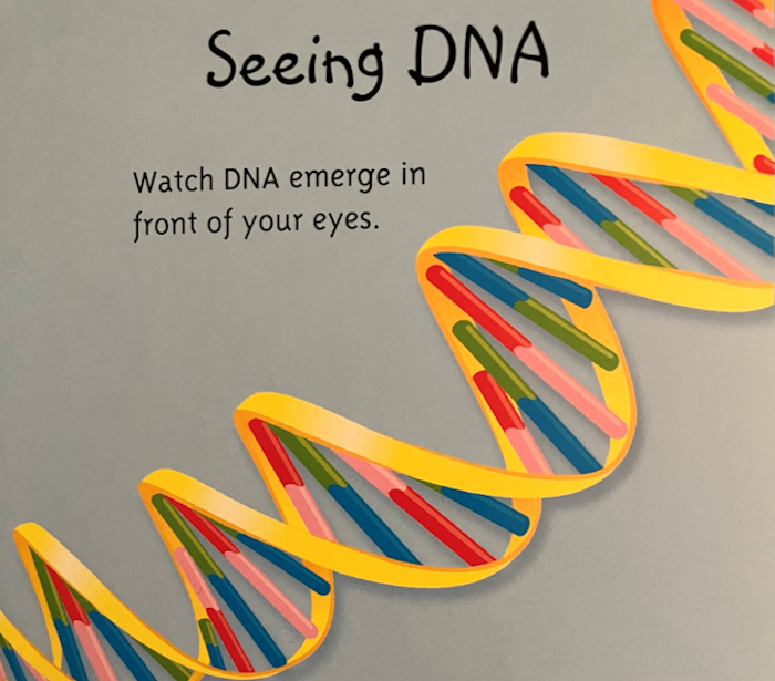 Seeing DNA