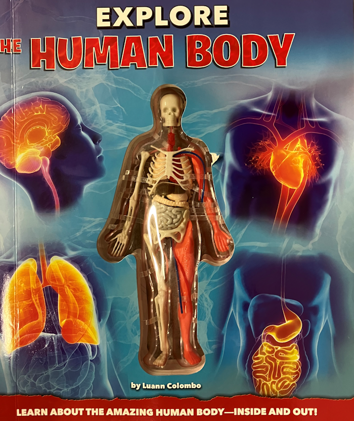 Explore the Human Body