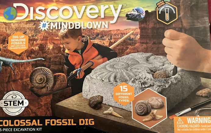 Colossal Fossil Dig