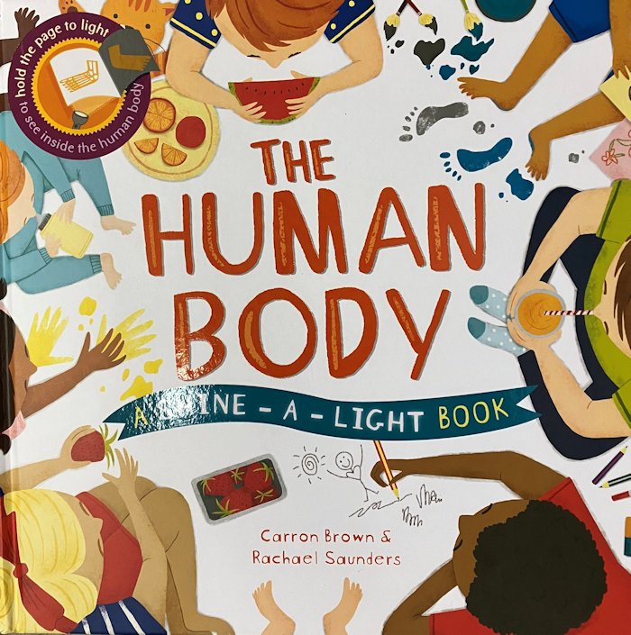 The Human Body