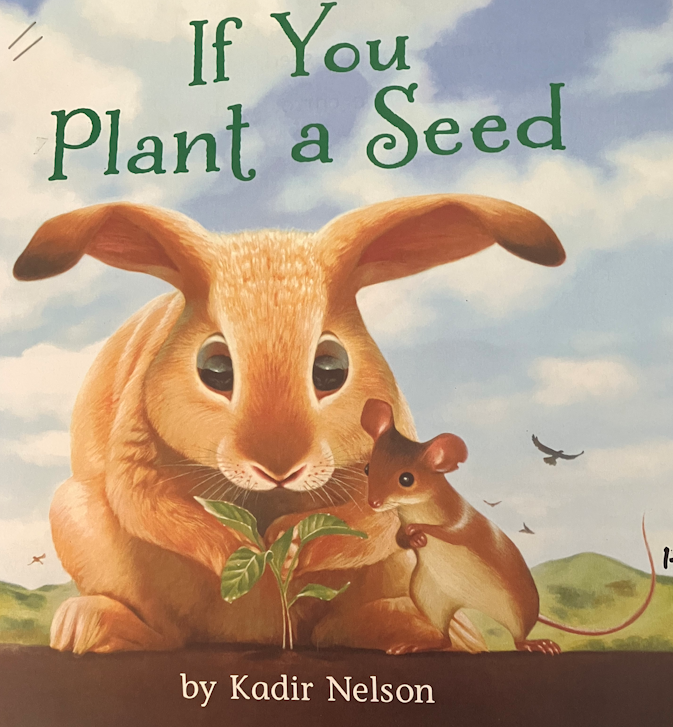 If you Plant a Seed