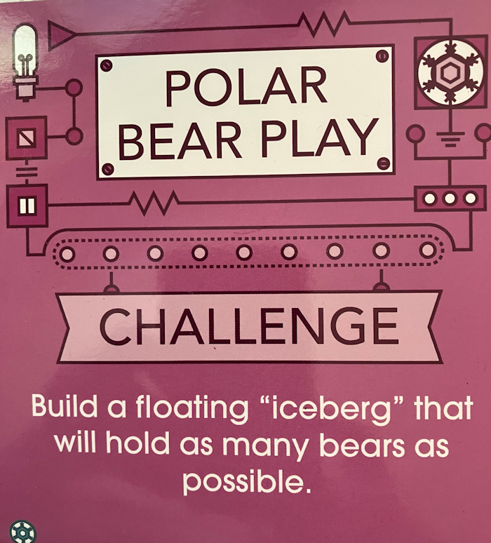 Polar Bear Play