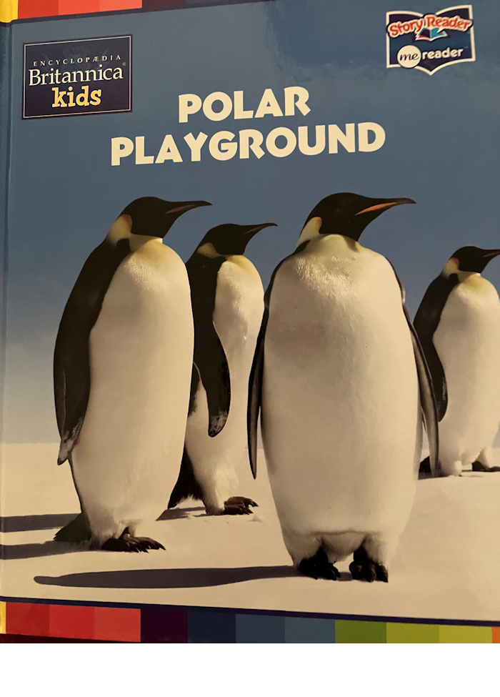 Polar Playground