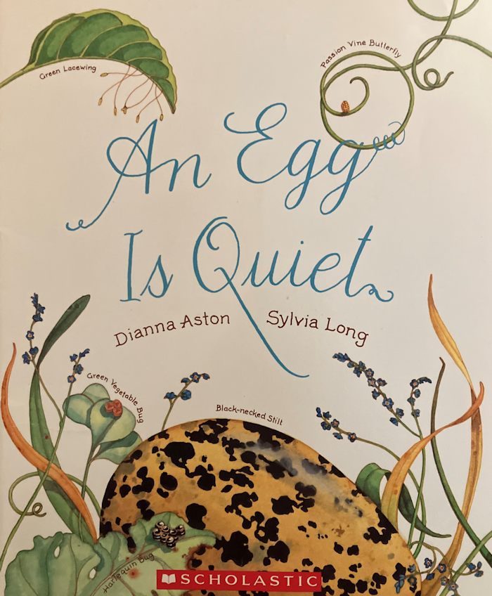 An Egg is Quiet