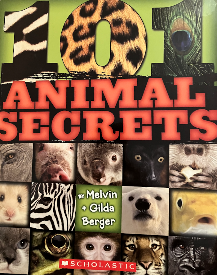 Animal Secrets