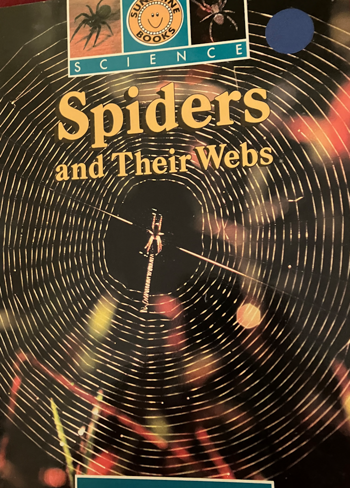 Spiders & their Webs