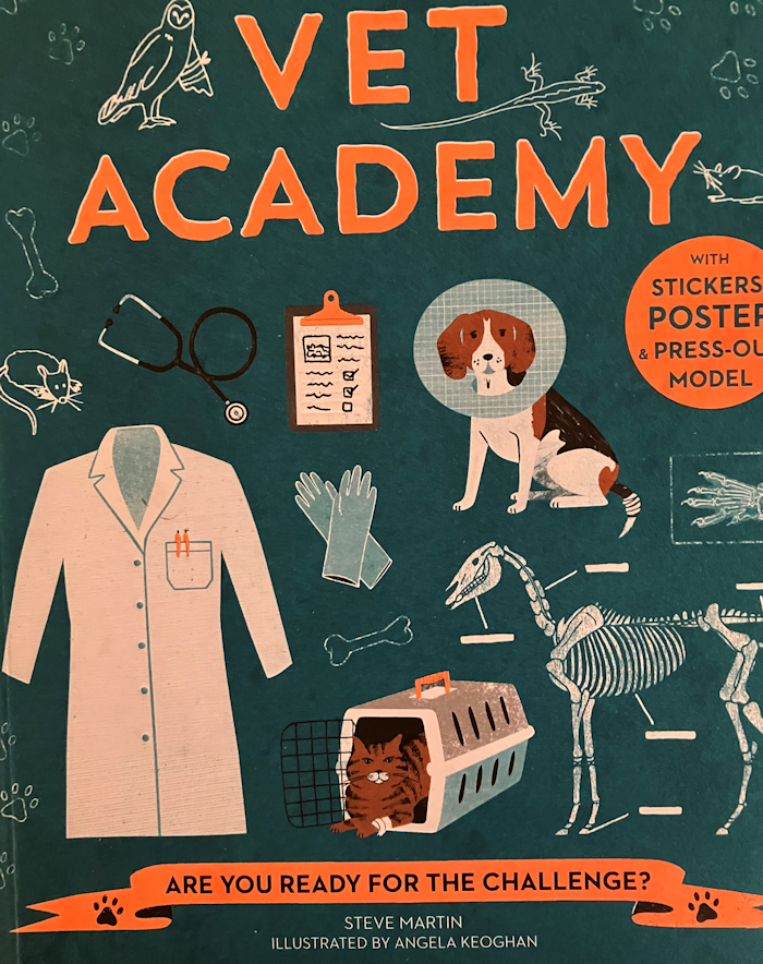 Vet Academy