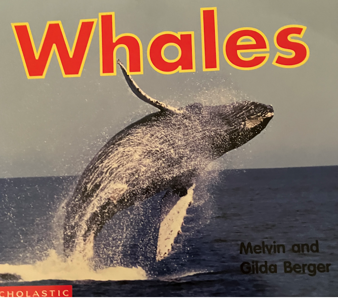 Whales